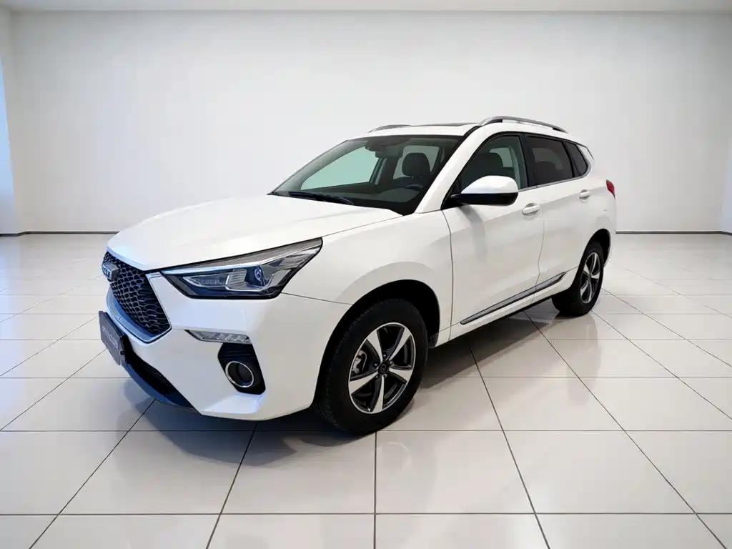 Haval H6 Coupe Red Label 1.5T Auto 2WD Luxury