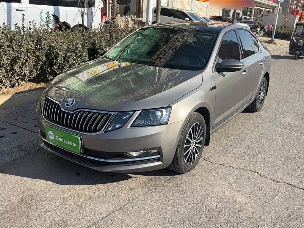 Skoda Octavia 2019 TSI230 DSG